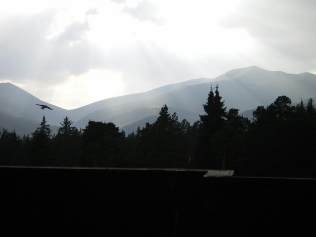 Bor Hotel Belitsa  Camera foto